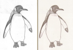 Comparaison entre XSane (à gauche) et Gnome Scan (à droite)